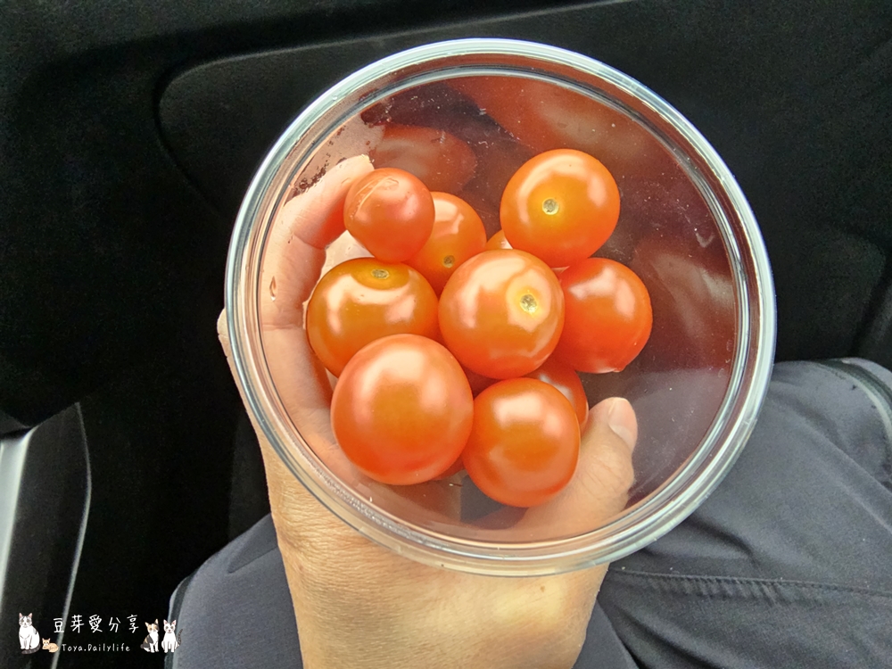 冰島自駕環島Day3|南部之旅 ‧ 塞里雅蘭瀑布 ‧ 秘密瀑布 ‧ 飛機殘骸 ‧ 史可加瀑布 ‧ Kvernufoss ‧ 黑沙灘 ‧ Suður Vík ‧ KRONAN超市 ‧ 維克住宿🌱豆芽出國趣冰島 20 2023 iceland day3 18