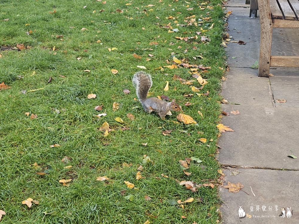 聖保羅大教堂 St. Paul's Cathedral|世界上第二大的圓頂教堂 ‧ 登上圓頂俯瞰倫敦市景 🌱豆芽出國趣英國 13 St Pauls Cathedral 13
