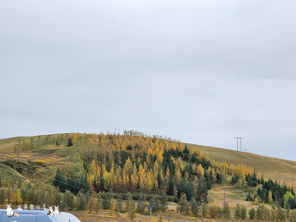羽毛河峽谷 Fjaðrárgljúfur|俯瞰如同一根羽毛的峽谷 ‧ 冰島南部景點 🌱豆芽出國趣冰島 37 Fjadrargljufur Canyon 44