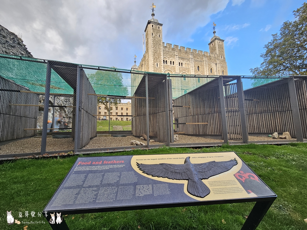 Tower of London 50
