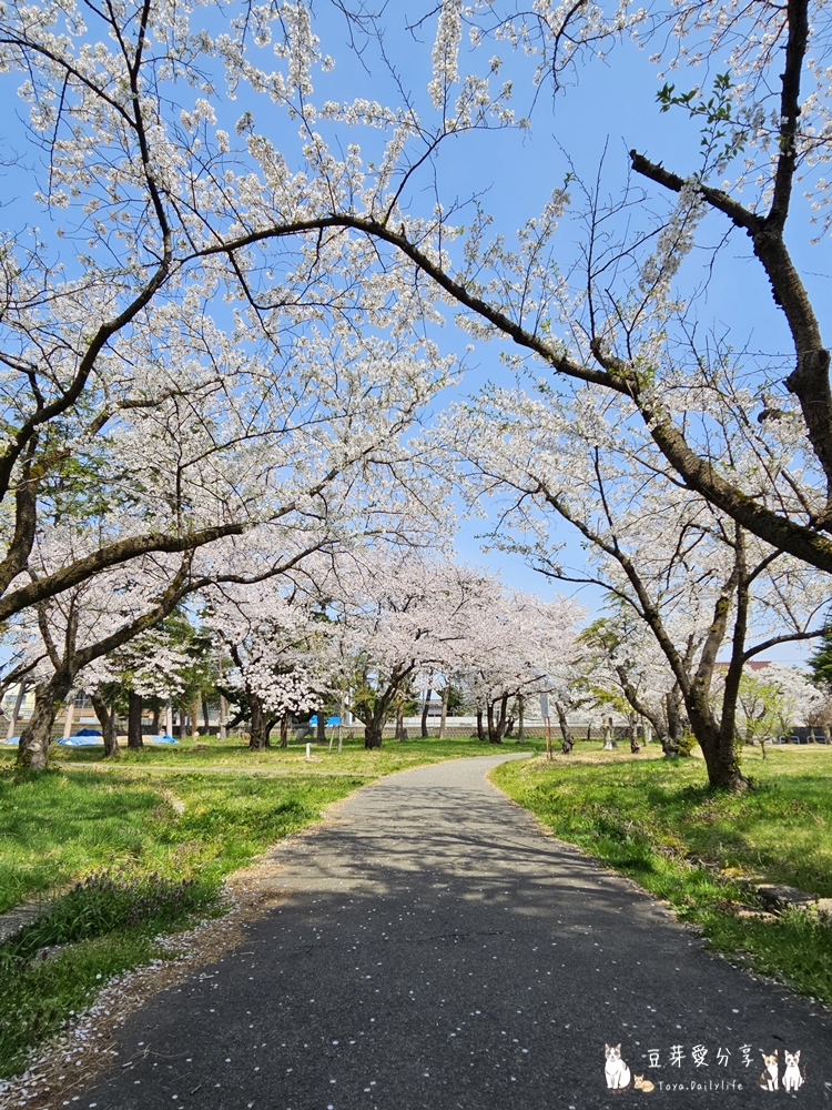 Awashima Park 7