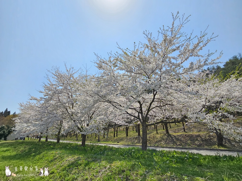 Muramatsu Park 1