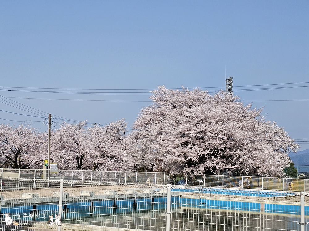 Muramatsu Park 10