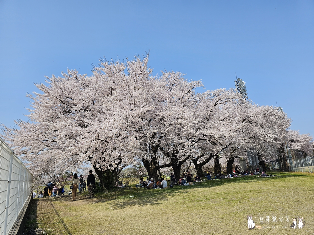 Muramatsu Park 11