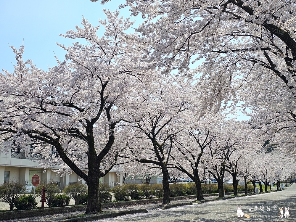 Muramatsu Park 16