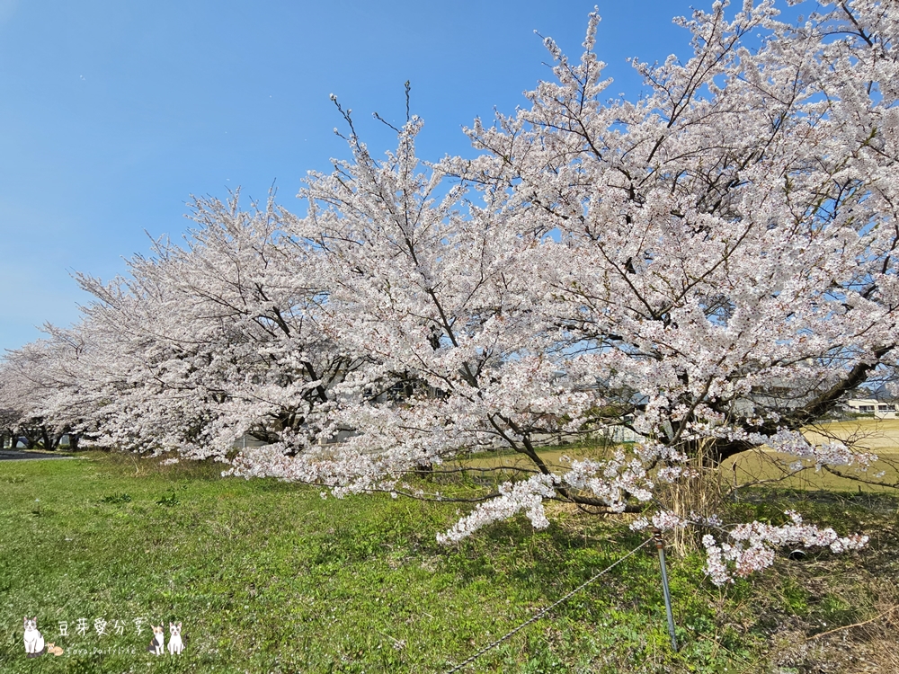 Muramatsu Park 20