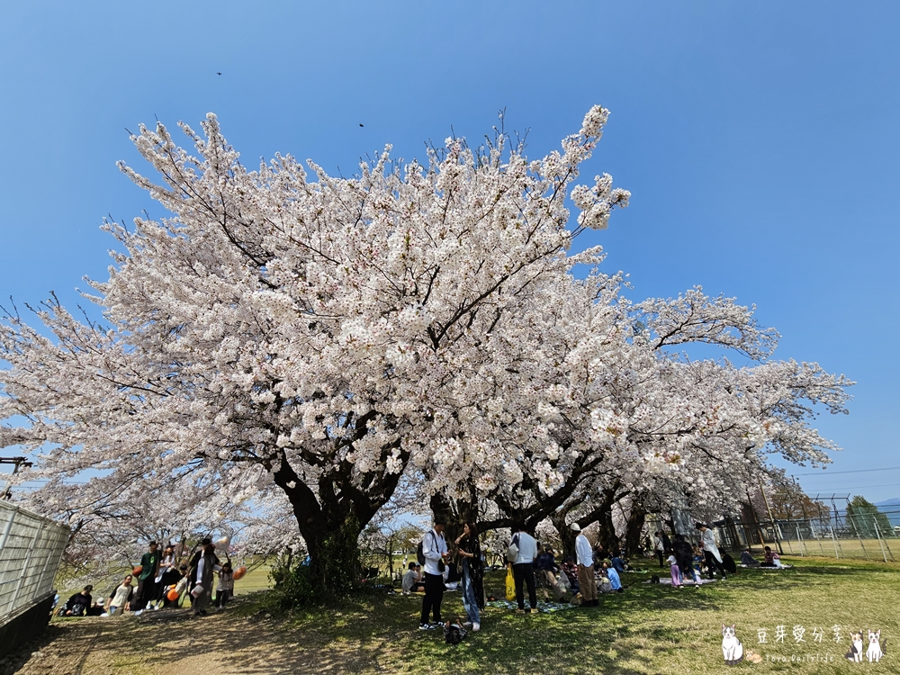 Muramatsu Park 4