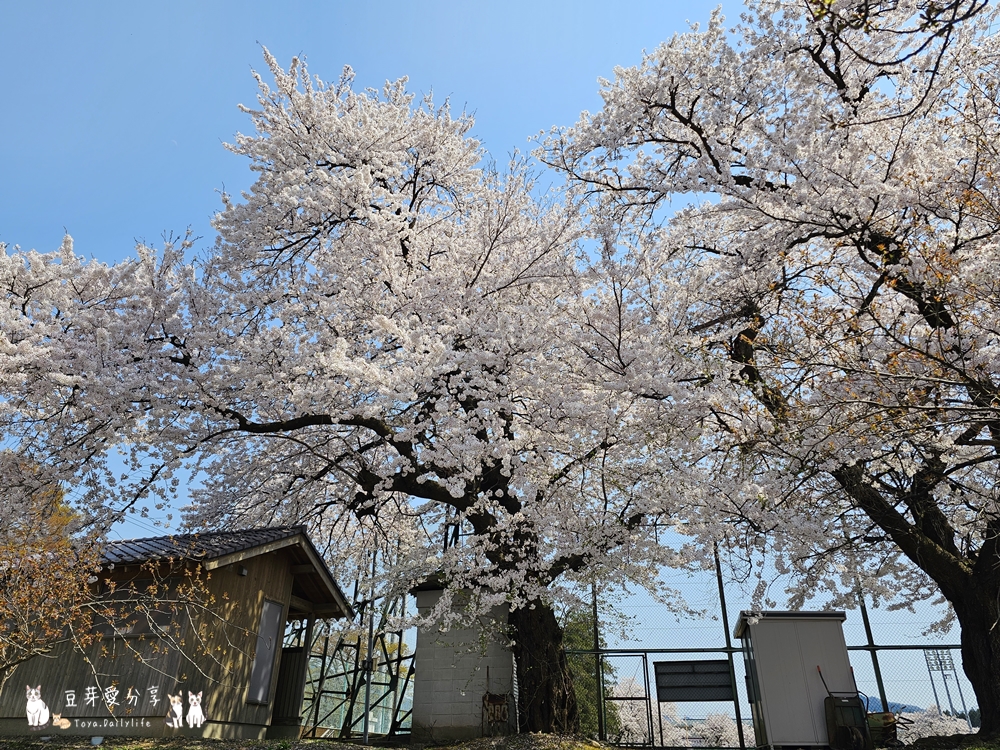 Muramatsu Park 5