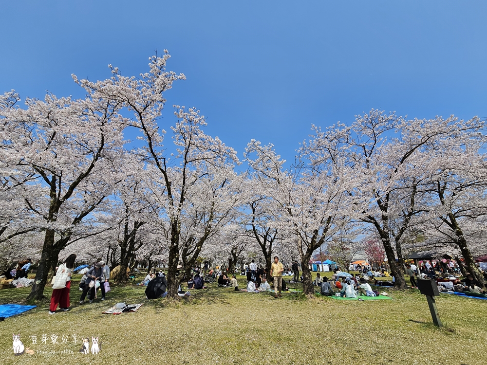 Muramatsu Park 6