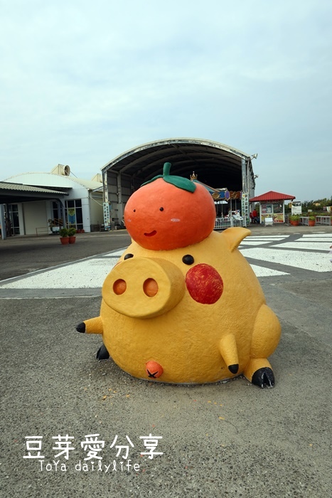 pic pimg tw toyadailylife 1605195523 2393457200 g jpg